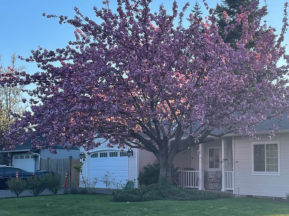 1st image of 15704 46th Ave E