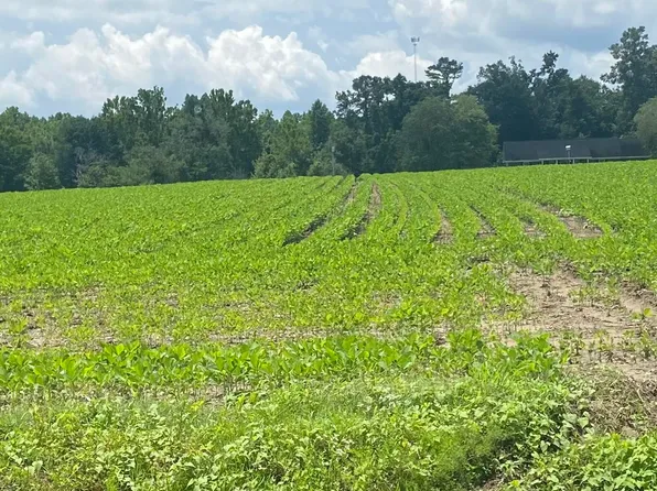 Near 2451 Peanut Worley Road LOT 3, Cerro Gordo, NC 28430