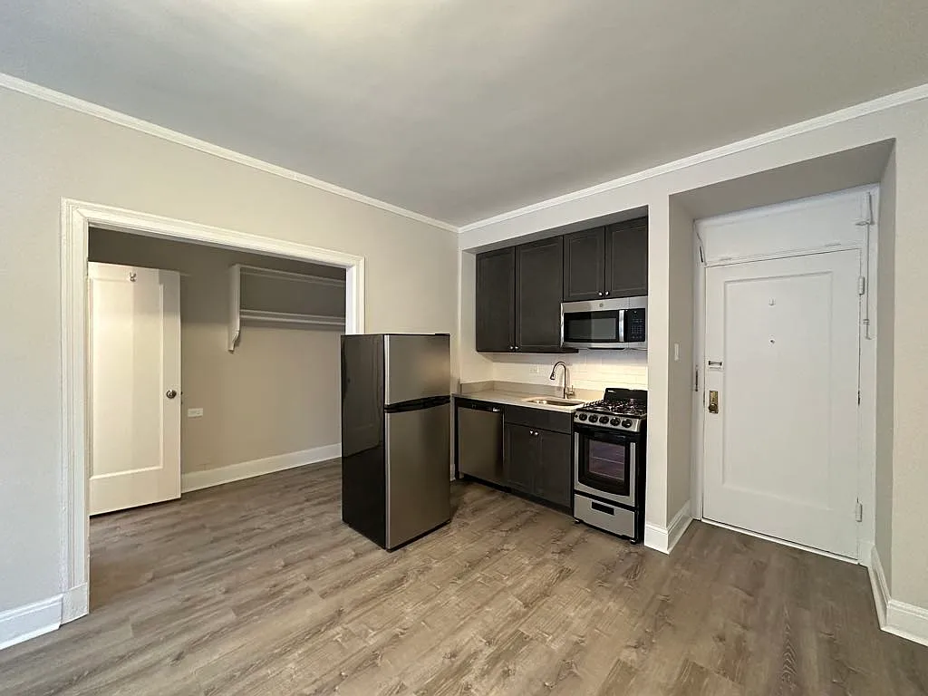 Appealing Studio, 1 Bath at Diversey + Milwaukee (Logan Square) — Photo 2