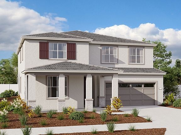 The Ammolite Elevation D