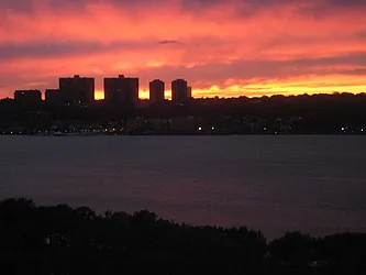 Rented by Maison International