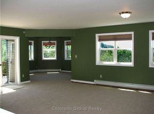 510 Buena Vista Ct, Steamboat Springs, CO 80487