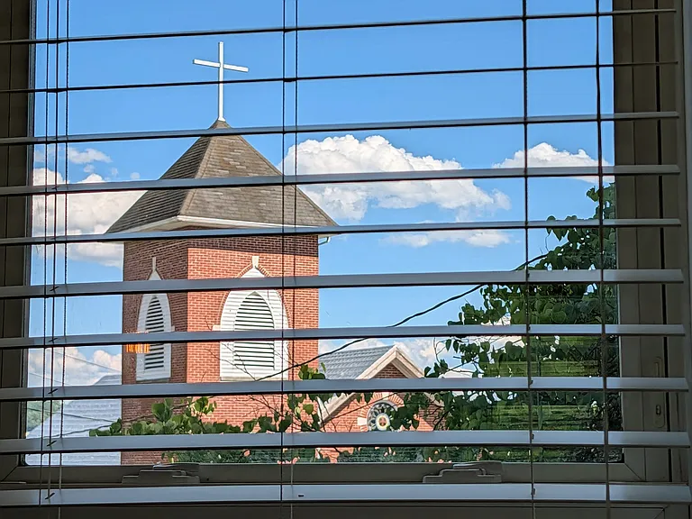 The view out the back of the kitchen.