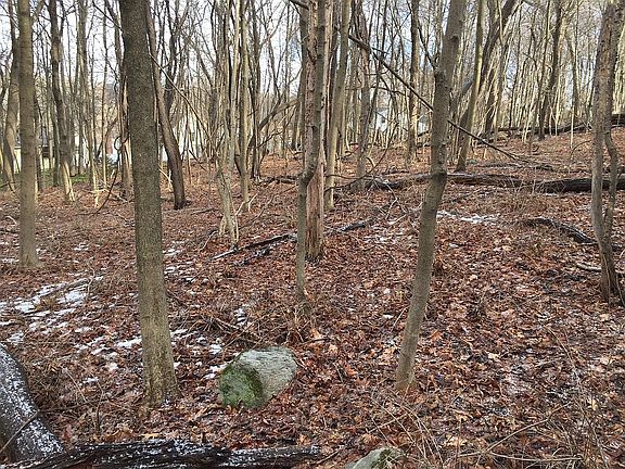 Approx. location (to east)