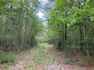 0 Route 11, Moselle, MS 39459