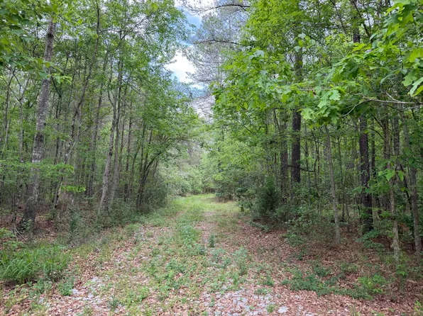 0 Route 11, Moselle, MS 39459