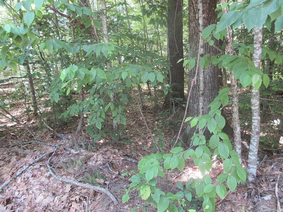 2nd image of 40 Ellen Brook Road