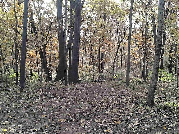 3rd image of Lot 15 Edge Wood Meadows