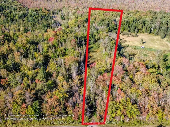 1223 Southwood Rd, Gravenhurst, ON P0E 1N0
