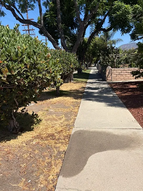 3 bed, 1.5 bath, 1100 sqft, $2,700 — Photo 4