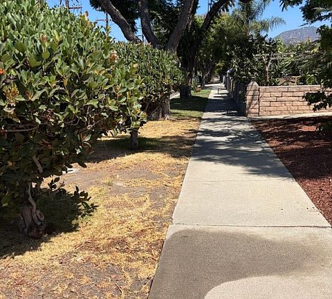 4th image of 800 N Angeleno Ave