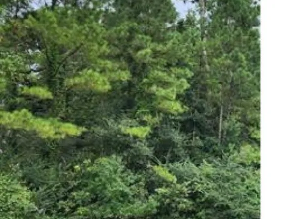 Tbd Joor Rd, Baton Rouge, LA 70818