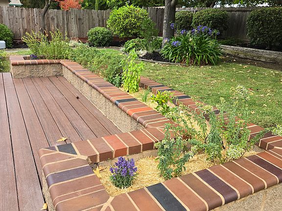 Raised Garden Bed with Thyme, Basil, Chives, Strawberries, Peppers, and English lavender