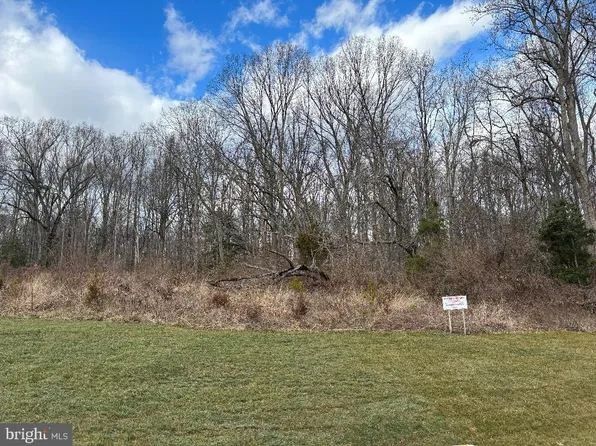 Wolf Run Shoals Rd, Fairfax Station, VA 22039