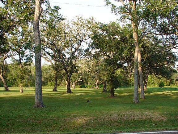 4th image of 6018 County Road 802