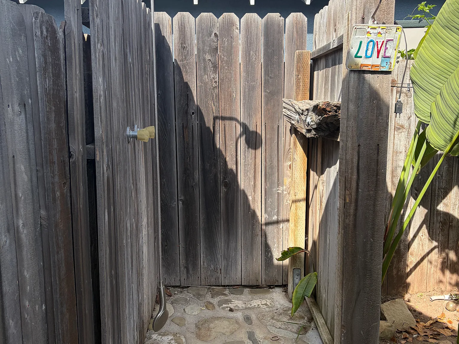 3 bed, $6,000 — Photo 3