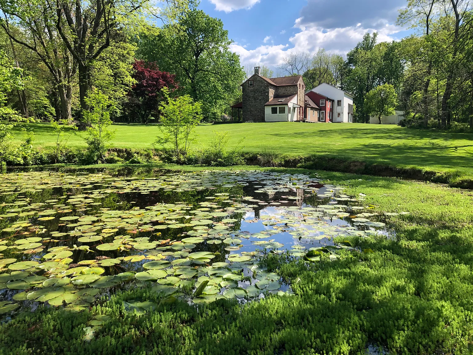 5 bed, 4.5 bath, 4620 sqft, $5,625 — Photo 4