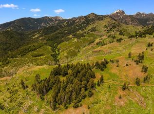 Nhn Peak Point Dr LOT 1, Livingston, MT 59047