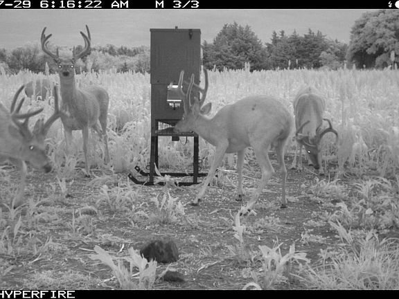 2nd image of 0 Native #&-24
