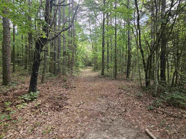 1741 Wildemar Ln, Leslie, AR 72645