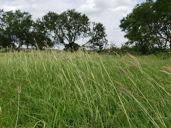 3rd image of 5389 W Fm 476