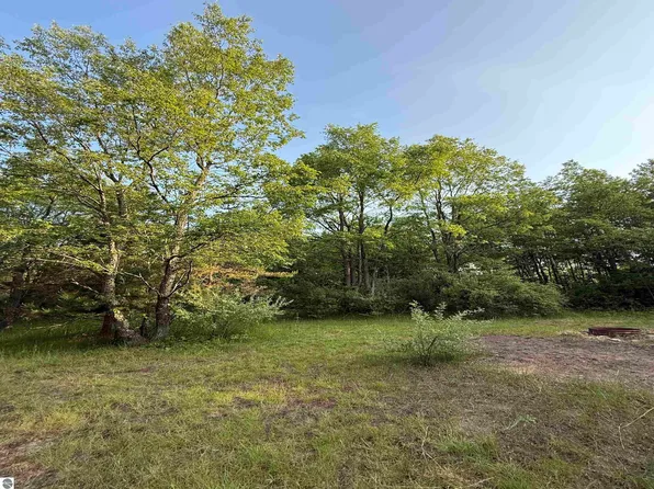 0 Dzuibanek Rd, Thompsonville, MI 49683