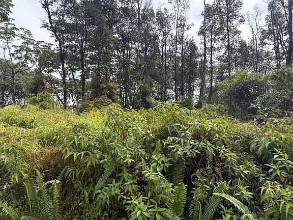 2nd image of Seaview Rd Lot 27