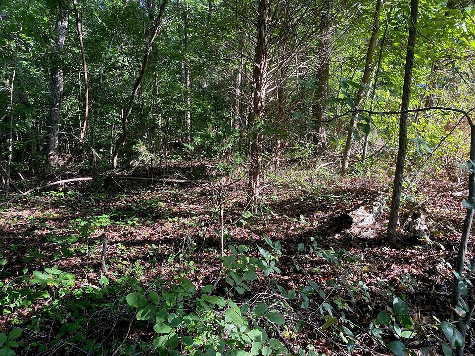 1st image of Country Woods Dr Lot 2
