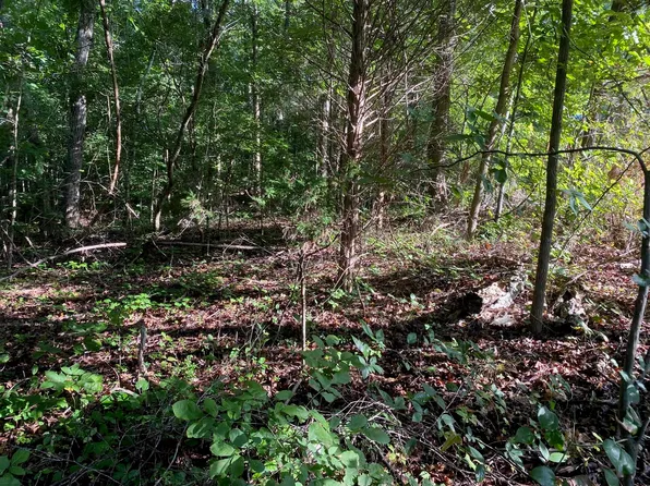 Country Woods Dr Lot 2, Selmer, TN 38375