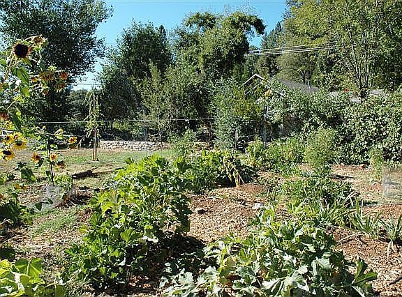 Garden area