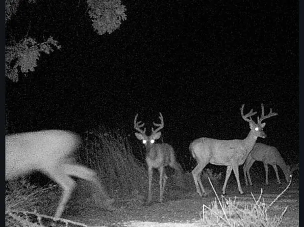 28700 Welch Loop, Heavener, OK 74937