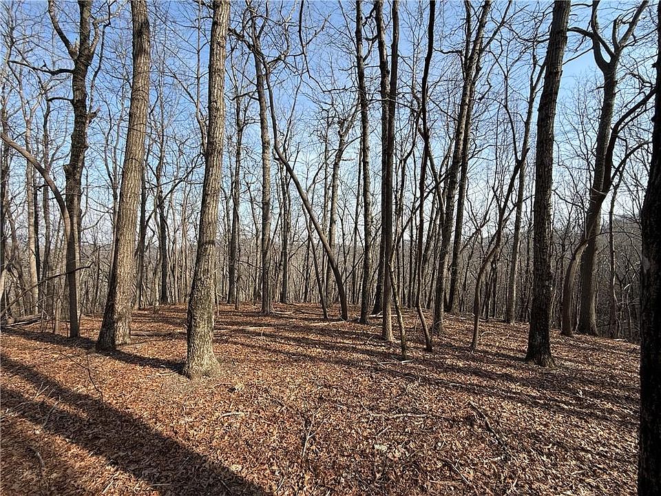 2nd image of 0 Burnt Mountain Cove Rd #117