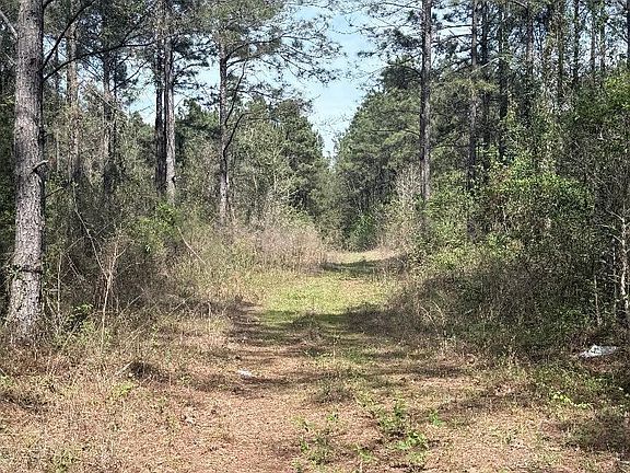 4th image of 0 Arnold Rd