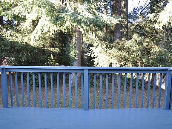 Backyard from Deck