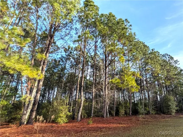 1142 E Bismark St, Hernando, FL 34442