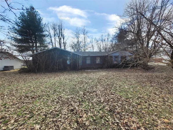 601 E Cedar St, Bertrand, MO 63823