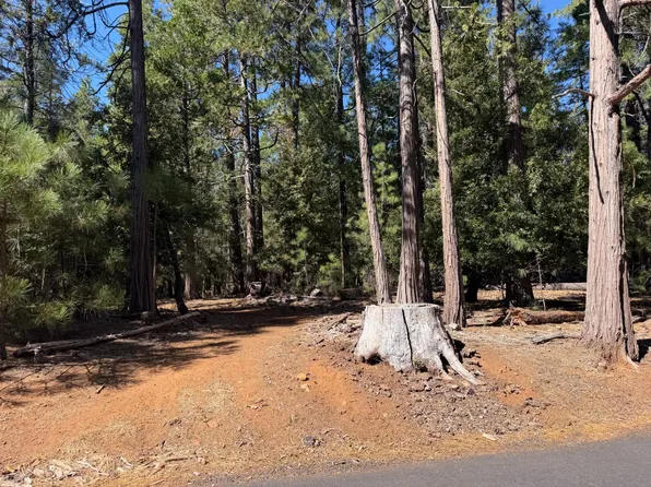 19470 Creek Dr, Pioneer, CA 95666