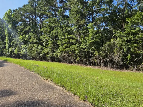 0 Turkey Fork Rd, Richton, MS 39476