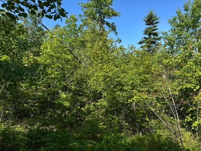 M4L19 Village Road, Brooks, ME, 04921