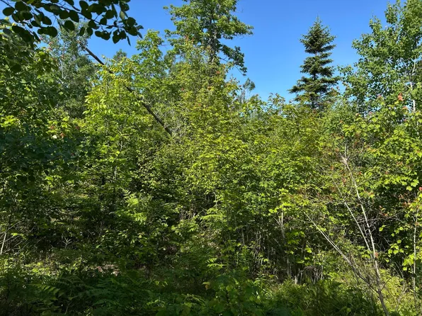 M4L19 Village Road, Jackson, ME 04921