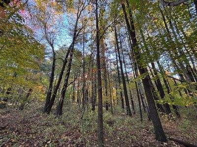 0 Township Road 44, Somerset, OH, 43783