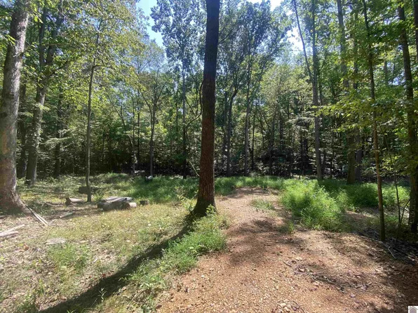 0 Lax Dr #74 & 75, New Concord, KY 42076