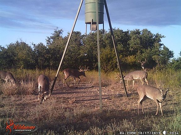 2nd image of 1073 W Fm 218