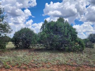 262 Noseeum Way, Williams, AZ 86046