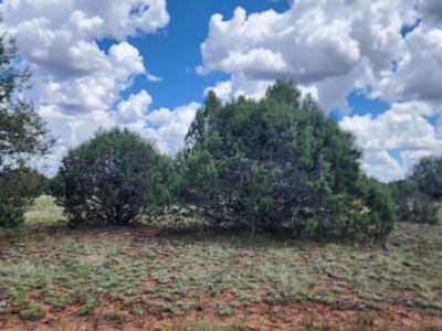 262 Noseeum Way, Williams, AZ, 86046