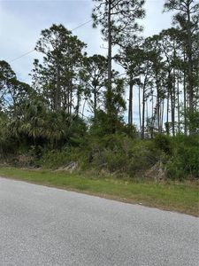 Dooling St LOT 4, North Pt, FL, 34291
