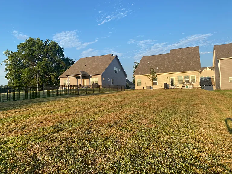 Large backyard. No fence.