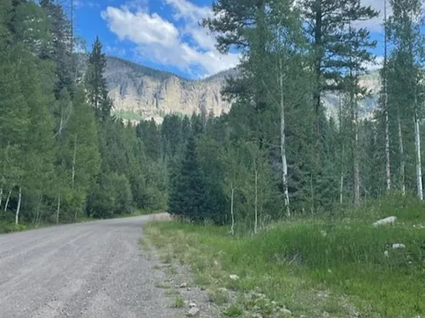 207 Camp Robber Drive, Creede, CO 81130