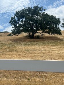 Beeson Ln, Phoenix, OR, 97535