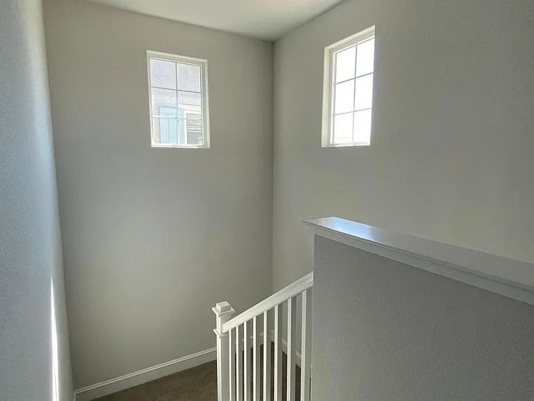 925 Bergenia St — Photo 22